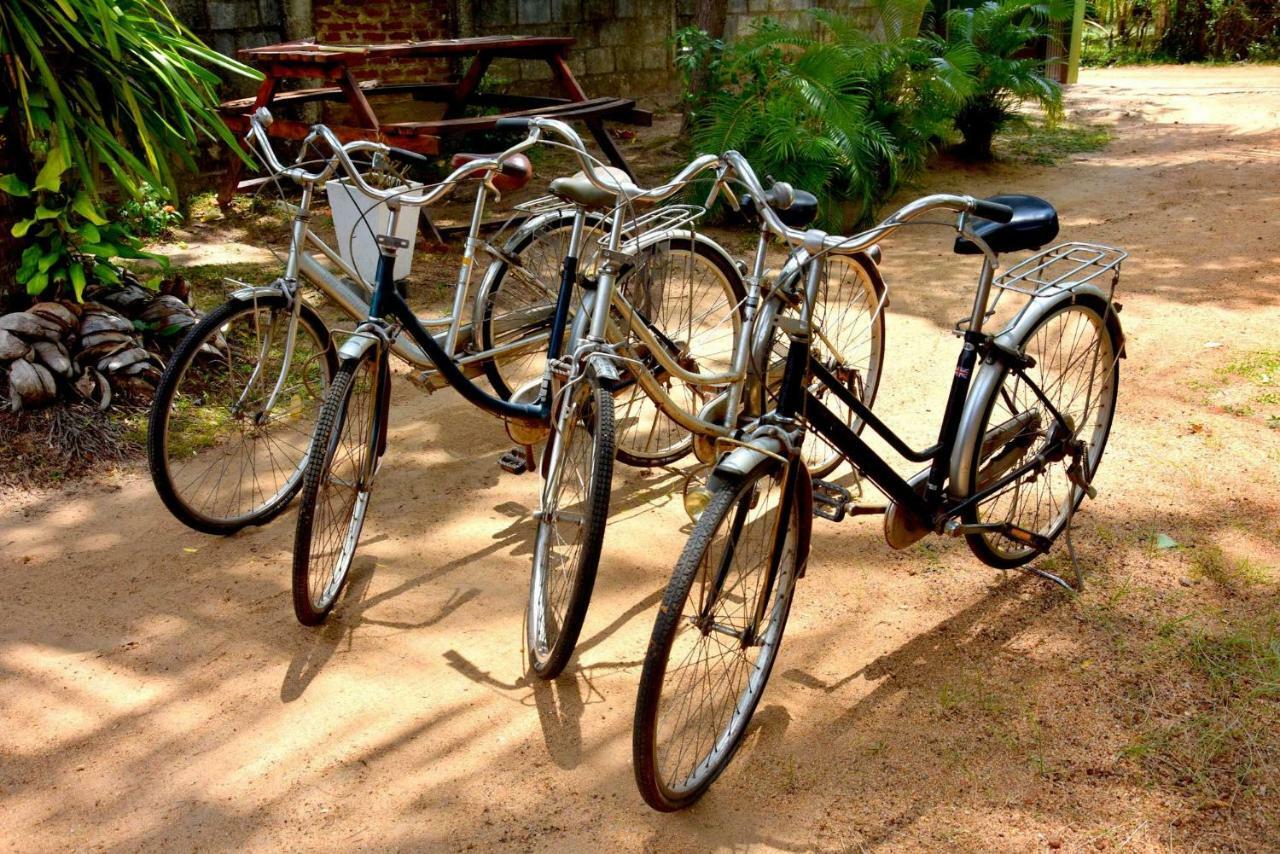 S P City Resort Anuradhapura Exteriör bild